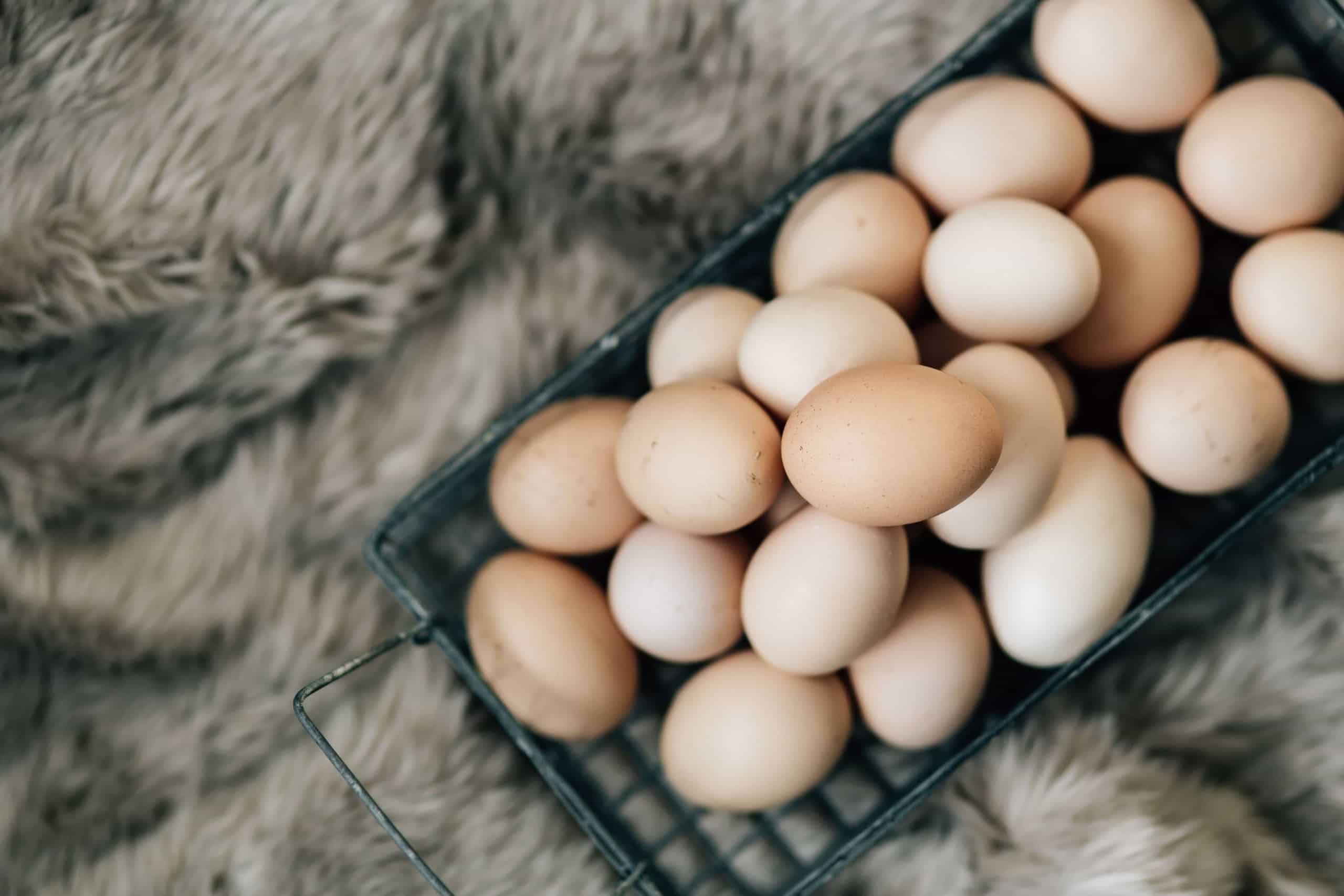 К чему снится собирать во сне яйца. Яйцо куриное. Реклама яиц. Домашние яйца. Реклама яиц куриных.